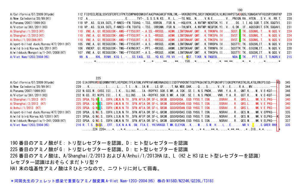 HAアライメント