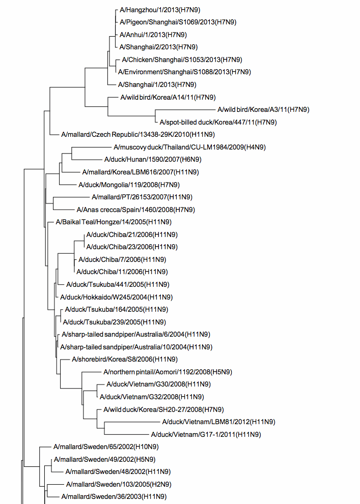 N9tree